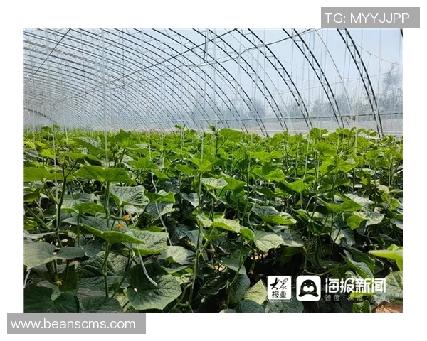 塔什干棉农与萨德的较量：一场关于农业与科技的深度对话